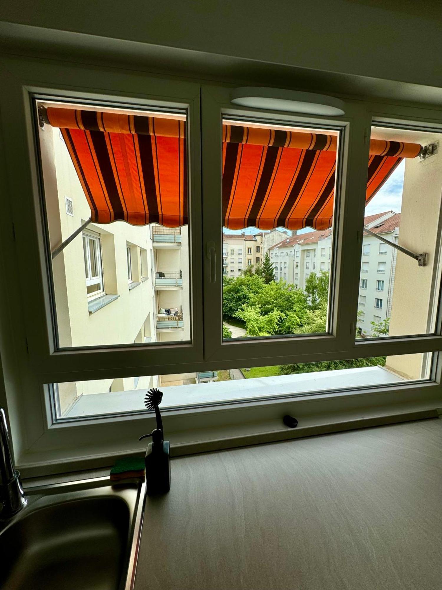 Le Lac - Appartement 15' Partdieu Et Bellecour Lyon Bagian luar foto